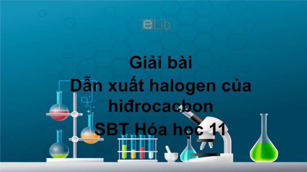 Giải bài tập SBT Hóa 11 Bài 39: Dẫn xuất halogen của hiđrocacbon