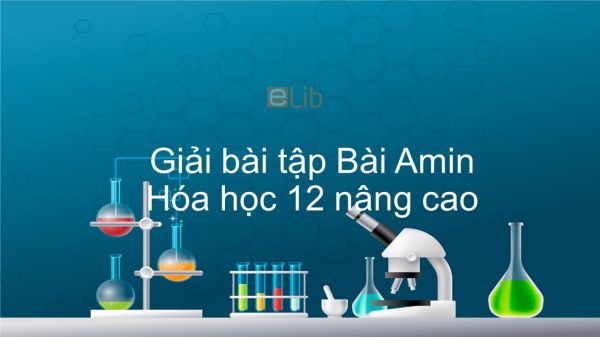 Giải bài tập SGK Hóa 12 Nâng cao Bài 11: Amin