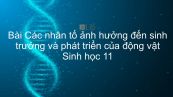 Sinh học 11 Bài 38: Các nhân tố ảnh hưởng đến sinh trưởng và phát triển của động vật