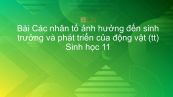 Sinh học 11 Bài 39: Các nhân tố ảnh hưởng đến sinh trưởng và phát triển của động vật (tt)