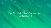 Sinh học 11 Bài 46: Cơ chế điều hòa sinh sản
