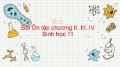 Sinh học 11 Bài 48: Ôn tập chương II, III, IV