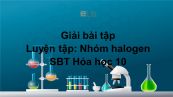 Giải bài tập SBT Hóa 10 Bài 26: Luyện tập: Nhóm halogen