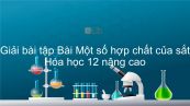 Giải bài tập SGK Hóa 12 Nâng cao Bài 41: Một số hợp chất của sắt