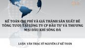 Luận văn ThS: Kế toán chi phí và giá thành sản xuất bê tông tươi tại Công ty CP Đầu tư và Thương mại Dầu Khí Sông Đà
