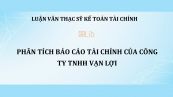Luận văn ThS: Phân tích báo cáo tài chính của Công ty TNHH Vạn Lợi