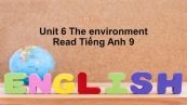 Unit 6 lớp 9: The environment-Read