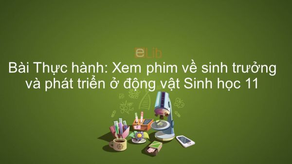 Sinh học 11 Bài 40: Thực hành: Xem phim về sinh trưởng và phát triển ở động vật