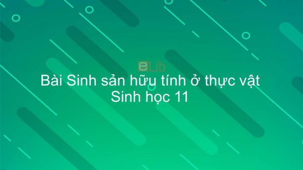 Sinh học 11 Bài 42: Sinh sản hữu tính ở thực vật