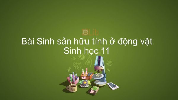 Sinh học 11 Bài 45: Sinh sản hữu tính ở động vật