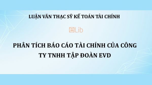 Luận văn ThS: Phân tích báo cáo tài chính của công ty TNHH tập đoàn EVD