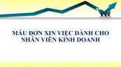 Mẫu đơn xin việc dành cho nhân viên kinh doanh