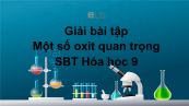 Giải bài tập SBT Hóa 9 Bài 2: Một số oxit quan trọng