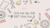 Giải bài tập SBT Hóa 9 Bài 19: Sắt