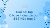 Giải bài tập SBT Hóa 9 Bài 28: Các oxit của cacbon