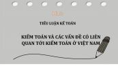 Tiểu luận: Kiểm toán và các vấn đề có liên quan tới kiểm toán ở Việt Nam