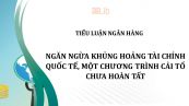 Tiểu luận: Ngăn ngừa khủng hoảng tài chính quốc tế