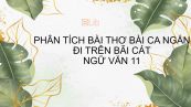 Phân tích bài thơ Bài ca ngắn đi trên bãi cát