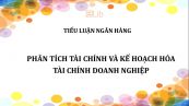 Tiểu luận: Phân tích tài chính và kế hoạch hóa tài chính doanh nghiệp