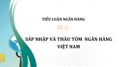Tiểu luận: Sáp nhập và thâu tóm  ngân hàng Việt Nam