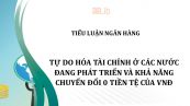 Tiểu luận: Tự do hoá tài chính ở các nước đang phát triển và khả năng chuyển tổi tiền tệ của VND