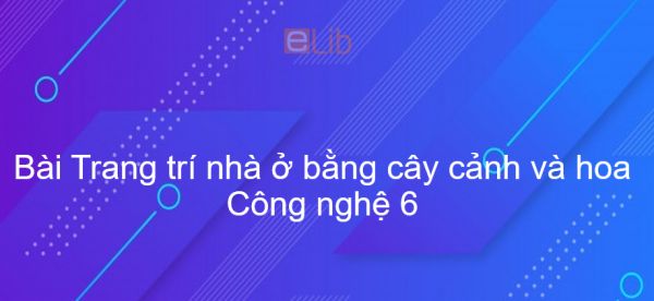 Công nghệ 6 Bài 12: Trang trí nhà ở bằng cây cảnh và hoa