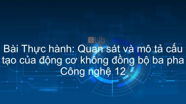 Công nghệ 12 Bài 27: Thực hành: Quan sát và mô tả cấu tạo của động cơ không đồng bộ ba pha