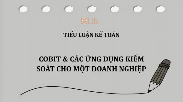 Tiểu luận : COBIT và các ứng dụng kiểm soát cho một doanh nghiệp