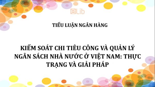 Tiểu luận: Kiểm soát chi tiêu công và quản lý Ngân sách Nhà nước ở Việt Nam thực trạng và giải pháp