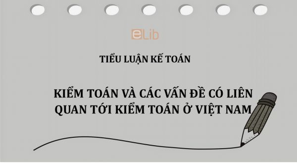 Tiểu luận: Kiểm toán và các vấn đề có liên quan tới kiểm toán ở Việt Nam