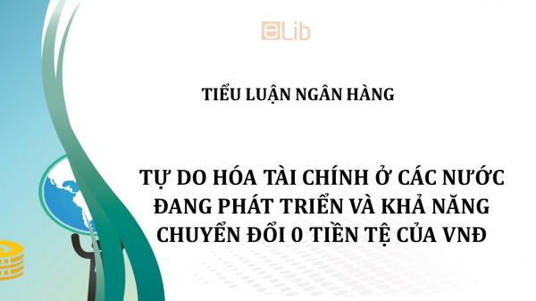 Tiểu luận: Tự do hoá tài chính ở các nước đang phát triển và khả năng chuyển tổi tiền tệ của VND