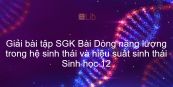 Giải bài tập SGK Sinh học 12 Bài 45: Dòng năng lượng trong hệ sinh thái và hiệu suất sinh thái