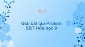 Giải bài tập SBT Hóa 9 Bài 53: Protein
