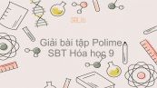 Giải bài tập SBT Hóa 9 Bài 54: Polime