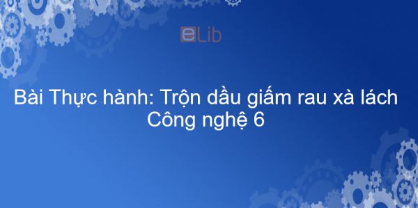 Công nghệ 6 Bài 19: Thực hành: Trộn dầu giấm rau xà lách