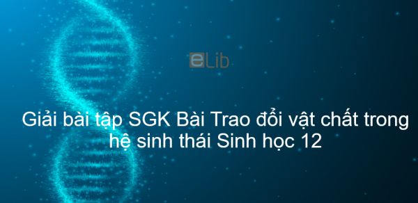 Giải bài tập SGK Sinh học 12 Bài 43: Trao đổi vật chất trong hệ sinh thái