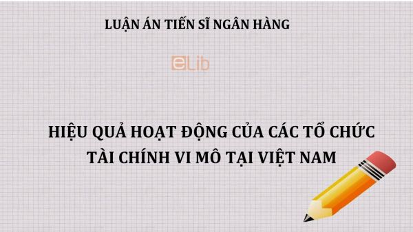 Luận án TS: Hiệu quả hoạt động của các tổ chức tài chính vi mô tại Việt Nam