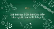 Giải bài tập SGK Sinh học 6 Bài 19: Đặc điểm bên ngoài của lá