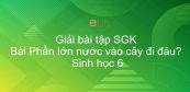 Giải bài tập SGK Sinh học 6 Bài 24: Phần lớn nước vào cây đi đâu?