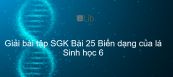 Giải bài tập SGK Sinh học 6 Bài 25: Biến dạng của lá