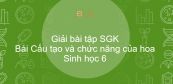 Giải bài tập SGK Sinh học 6 Bài 28: Cấu tạo và chức năng của hoa