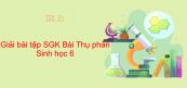 Giải bài tập SGK Sinh học 6 Bài 30: Thụ phấn