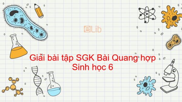 Giải bài tập SGK Sinh học 6 Bài 21: Quang hợp