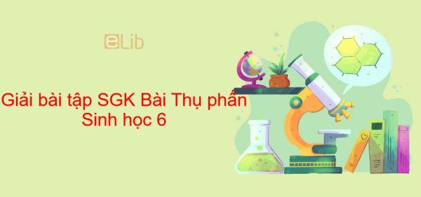 Giải bài tập SGK Sinh học 6 Bài 30: Thụ phấn