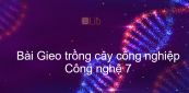 Công nghệ 7 Bài 16: Gieo trồng cây công nghiệp