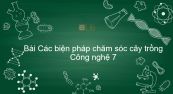 Công nghệ 7 Bài 19: Các biện pháp chăm sóc cây trồng