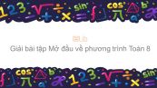 Giải bài tập SGK Toán 8 Bài 1: Mở đầu về phương trình