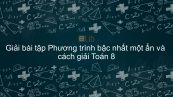 Giải bài tập SGK Toán 8 Bài 2: Phương trình bậc nhất một ẩn và cách giải