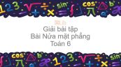 Giải bài tập SGK Toán 7 Bài 1: Nửa mặt phẳng