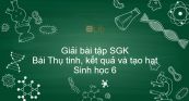 Giải bài tập SGK Sinh học 6 Bài 31: Thụ tinh, kết quả và tạo hạt